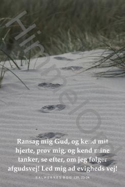 Nr. 9