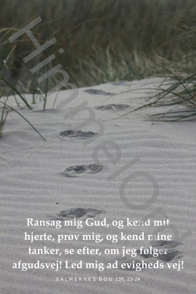 Nr. 9