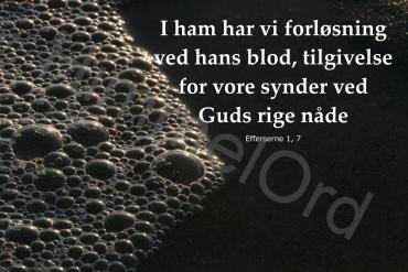 Nr. 11