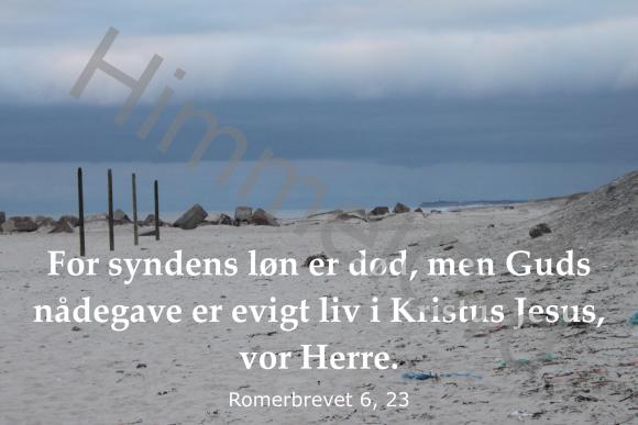 Nr. 23