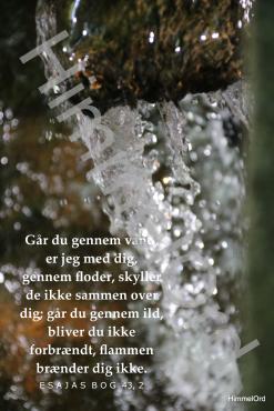 Nr. 24