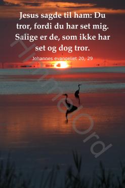 Nr. 26