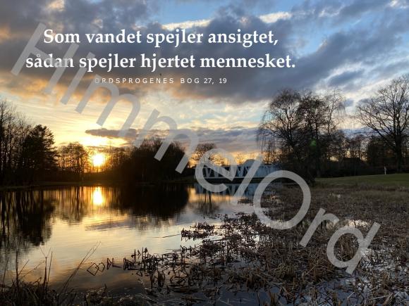 Nr. 38
