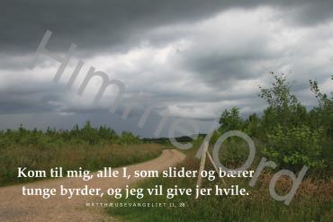 Nr. 53