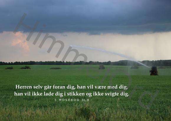 Nr. 65