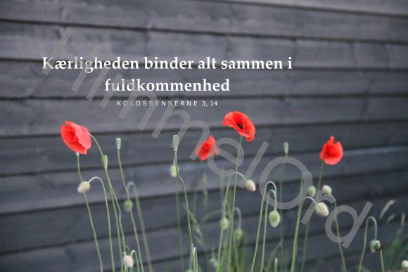 Nr. 87