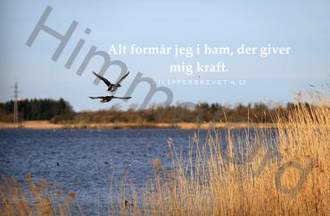 Nr. 90