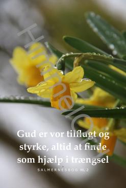 Nr. 95