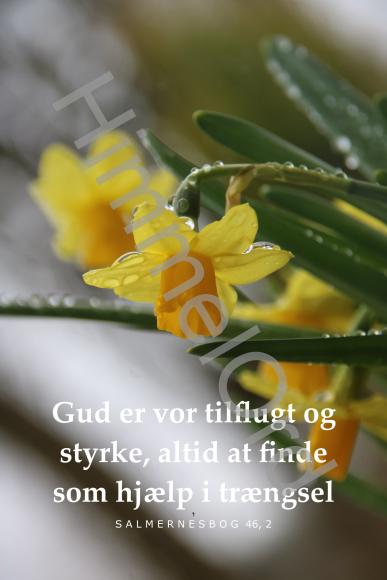 Nr. 95